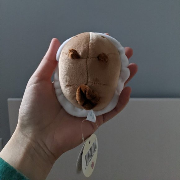 Sea Slug Plush - Picture 2 of 3